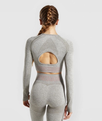 Flex Long Sleeve crop Top